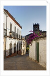 Streets of Banos de la Encina, Andalusia, Spain by Anonymous