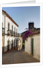 Streets of Banos de la Encina, Andalusia, Spain by Anonymous