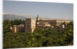 Alhambra Palace in Andaluisa, Spain by Anonymous