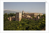 Alhambra Palace in Andaluisa, Spain by Anonymous