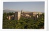 Alhambra Palace in Andaluisa, Spain by Anonymous