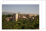 Alhambra Palace in Andaluisa, Spain by Anonymous