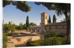 Generalife gardens in Alhambra, Granada, Spain by Anonymous