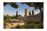 Generalife gardens in Alhambra, Granada, Spain by Anonymous