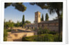 Generalife gardens in Alhambra, Granada, Spain by Anonymous