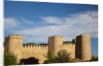 Walls of Avila in Spain by Anonymous