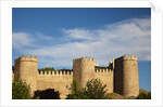 Walls of Avila in Spain by Anonymous
