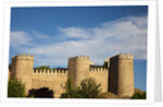 Walls of Avila in Spain by Anonymous