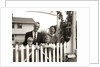 1950s family of four behind picket fence by Anonymous
