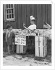 1940s boy running lemonade stand by Anonymous