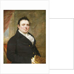 Portrait of a Gentleman by Attributed to John Wesley Jarvis by Anonymous