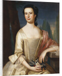 Portrait of a Woman by John Singleton Copley