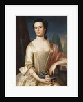 Portrait of a Woman by John Singleton Copley