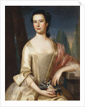 Portrait of a Woman by John Singleton Copley