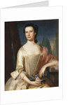 Portrait of a Woman by John Singleton Copley