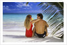 Couple On Tropical Beach With Palm Frond Ocean And Sky by Anonymous