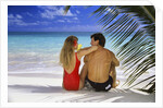 Couple On Tropical Beach With Palm Frond Ocean And Sky by Anonymous