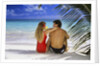 Couple On Tropical Beach With Palm Frond Ocean And Sky by Anonymous