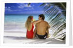 Couple On Tropical Beach With Palm Frond Ocean And Sky by Anonymous