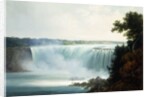 Niagara Falls by Gustavus Grunewald