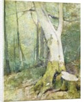 Interior Woodland by Soren Emil Carlsen