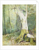 Interior Woodland by Soren Emil Carlsen
