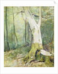 Interior Woodland by Soren Emil Carlsen