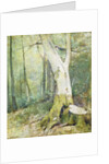 Interior Woodland by Soren Emil Carlsen
