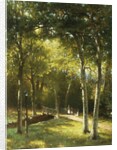 The Bridge in the Park by George W Waters