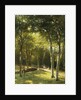The Bridge in the Park by George W Waters