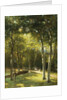 The Bridge in the Park by George W Waters