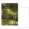 The Bridge in the Park by George W Waters