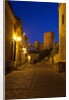 Streets of Banos de la Encina at night with the Moorish castle, named Burgalimar Castle, in the back by Anonymous