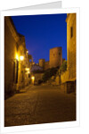 Streets of Banos de la Encina at night with the Moorish castle, named Burgalimar Castle, in the back by Anonymous