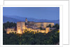View of Alhambra Palace in the evening by Anonymous