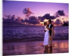 Dressed up couple embracing on the beach at sunset by Anonymous