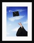 Graduate tossing mortarboard hat into the air by Anonymous