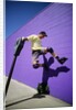 Boy Wearing Roller Blades Jumping Against Wall by Anonymous