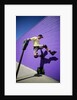 Boy Wearing Roller Blades Jumping Against Wall by Anonymous
