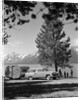 1950s family station wagon and camper at Jackson Lake, Wyoming by Anonymous