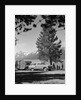 1950s family station wagon and camper at Jackson Lake, Wyoming by Anonymous