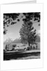1950s family station wagon and camper at Jackson Lake, Wyoming by Anonymous