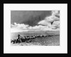 1860s 1870s line of covered wagons crossing American plains by Anonymous
