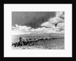 1860s 1870s line of covered wagons crossing American plains by Anonymous