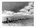 1860s 1870s line of covered wagons crossing American plains by Anonymous