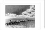1860s 1870s line of covered wagons crossing American plains by Anonymous