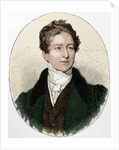 Robert Peel (1788-1850) by Anonymous