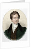 Robert Peel (1788-1850) by Anonymous