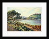 La Baie d'Agay by Armand Guillaumin
