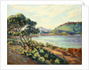 La Baie d'Agay by Armand Guillaumin